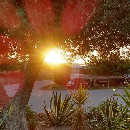 Luxury tent Glamping Yurt Castellon de la Plana